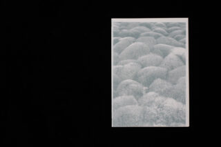 Ein Graustufenfoto mit abgerundeten, buschartigen Formen ist auf einem schwarzen Hintergrund zentriert.