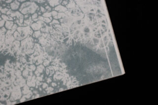 Eine Nahaufnahme einer Seite mit einem strukturierten, abstrakten Muster in Grau- und Weißtönen vor einem schwarzen Hintergrund.