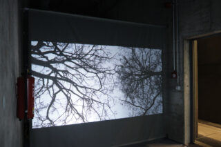 In einem Industrieraum mit Betonwänden und sichtbaren Rohren wird auf einer Leinwand eine Projektion kahler Äste vor dem Himmel angezeigt.