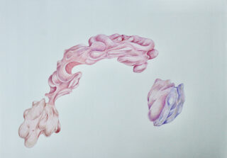 Abstrakte Zeichnung mit rosa und violetten organischen Formen auf weißem Hintergrund, mit fließenden Formen und glatten, strukturierten Oberflächen.