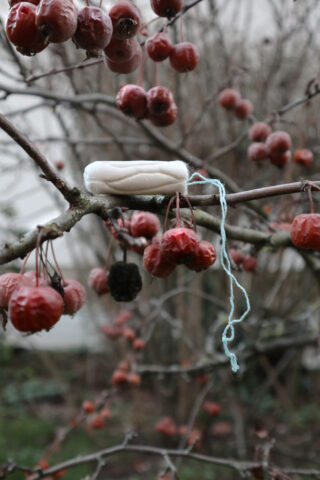 Ein weißer Tampon mit einem blauen Faden liegt auf einem Zweig zwischen Trauben roter Beeren.