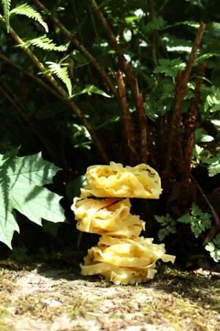 Drei Bündel ungekochter, gerüschter Nudeln sind im Freien auf dem Boden gestapelt, umgeben von grünem Laub und Pflanzen.