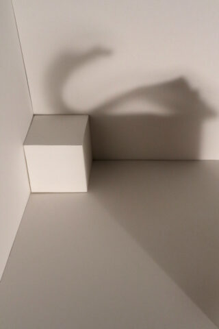 In einem minimalistischen, hellen Raum wirft eine Hand, die neben einem weißen Würfel steht, einen drachenähnlichen Schatten an Wand und Decke.