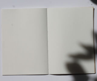 Ein offenes, leeres Notizbuch liegt flach auf einer weißen Oberfläche, auf die rechte Seite wirft eine Pflanze ihren Schatten.