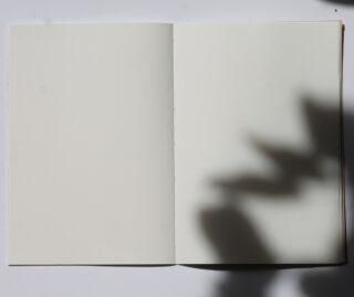 Ein offenes, leeres Notizbuch mit einem Pflanzenschatten auf der rechten Seite.