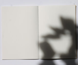 Ein offenes, leeres Notizbuch mit dem Schatten einer Pflanze auf der rechten Seite vor einem weißen Hintergrund.