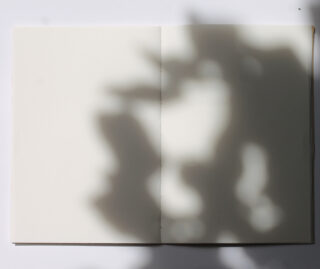 Ein offenes, leeres Notizbuch, auf dessen Seiten sich der Schatten von Blättern abzeichnet.