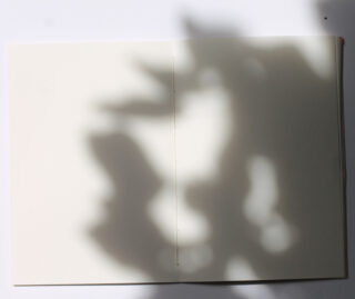 Auf einer weißen Fläche liegt ein offenes, leeres Notizbuch, auf dessen Seiten verschwommene Pflanzenschatten fallen.