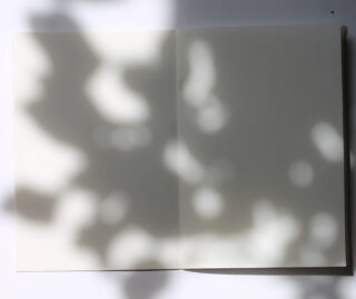 Auf einer weißen Fläche liegt ein offenes, leeres Notizbuch, auf dessen Seiten Schatten von Blättern und Zweigen fallen.