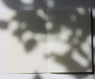 Ein offenes, leeres Notizbuch, auf dessen Seiten gesprenkeltes Sonnenlicht und Schatten von Blättern fallen.