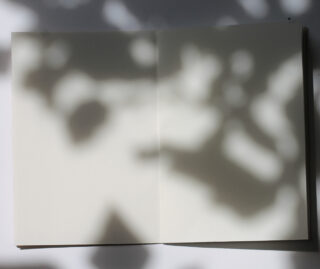 Ein offenes, leeres Notizbuch liegt flach da, auf dessen Seiten gesprenkeltes Sonnenlicht und Blattschatten fallen.