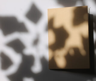 Ein geschlossenes, schlichtes braunes Notizbuch liegt auf einer weißen Oberfläche, die von unregelmäßigen, blattartigen Schatten umhüllt ist.