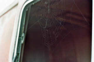 Ein Spinnennetz erstreckt sich über die Ecke eines Fensters auf einer verwitterten Oberfläche.