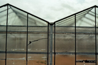 Eine Nahaufnahme einer Glaswand eines Gewächshauses mit sichtbarer Kondensation, Kratzern und einem deutlichen Riss vor einem bewölkten Himmel.