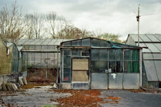 Ein verlassenes Gewächshaus mit zerbrochenen Glasscheiben, überwuchertem Moos und verfallenden Strukturen, umgeben von blattlosen Bäumen und bewölktem Himmel.