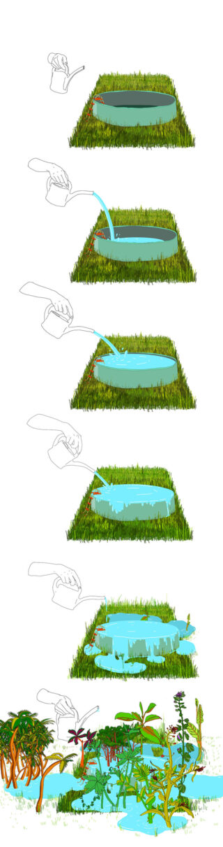 Ein Schritt-für-Schritt-Diagramm zeigt eine Person, die eine rechteckige, mit Gras umrandete Grube mit Wasser füllt, wodurch ein lebendiger Feuchtbiotop mit Pflanzen und Tieren entsteht.