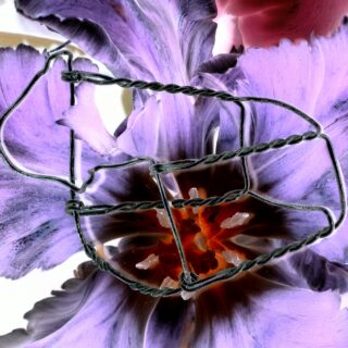 Ein gedrehter Drahtkäfig aus einer Champagnerflasche liegt in Nahaufnahme auf einer violetten und roten Blume.