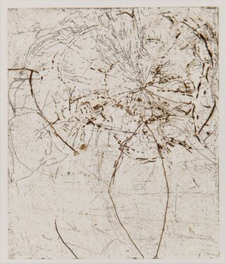 Abstrakte Radierung mit einer Reihe sich kreuzender Linien und kreisförmiger Formen, die auf hellem Hintergrund ein strukturiertes, organisches Muster erzeugen.