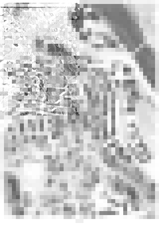 Schwarzweißer architektonischer Lageplan, der Gebäude, Straßen, Wege und vereinzelte Bäume in einer städtischen Nachbarschaft zeigt.