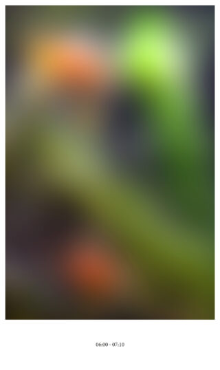 Ein verschwommenes Bild in Grün-, Orange- und Brauntönen mit einem Zeitstempel unten, der lautet: „06:00 – 07:10.“.