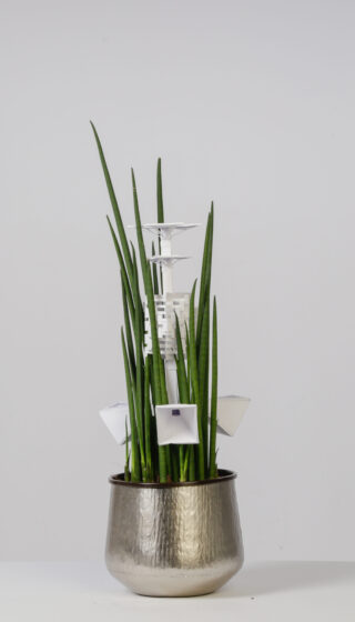Ein Metalltopf mit hohen, schmalen grünen Blättern und mehreren geometrischen weißen Plastikobjekten, die zwischen den Blättern vor einem schlichten Hintergrund angeordnet sind.
