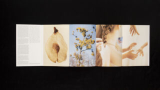 Eine ausklappbare Broschüre zeigt vier Tafeln: Text auf der linken Seite, eine getrocknete Samenkapsel, einen Baum mit gelben Blüten vor dem Himmel und zwei Bilder von Händen und Haaren, die geflochten werden.