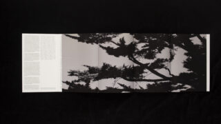 Ein Schwarzweißbild von Ästen, das über drei Tafeln gedruckt ist. Die linke Tafel weist dicht angeordneten Text auf, während die anderen Tafeln den Baum vor einem hellen Hintergrund zeigen.