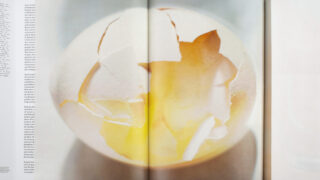 Nahaufnahme einer zerbrochenen Eierschale mit etwas sichtbarem Eiweiß und Eigelb im Inneren, aufgenommen von oben auf einer hellen Oberfläche. Am linken Rand erscheinen Textspalten.