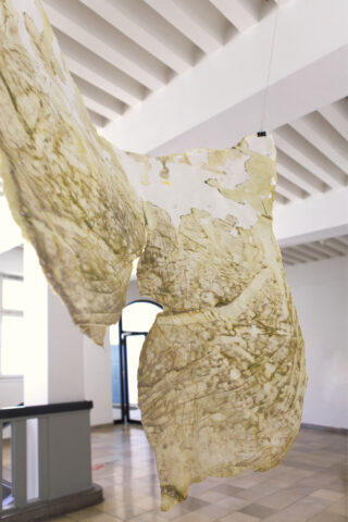 Ein dünnes, durchscheinendes, unregelmäßig geformtes Blatt mit einem gelbgrünen Farbton hängt in einem modernen, weißen Innenraum von der Decke.