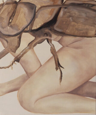 Vor einem schlichten Hintergrund sitzt ein großer Käfer auf den angewinkelten Beinen einer nackten menschlichen Figur.