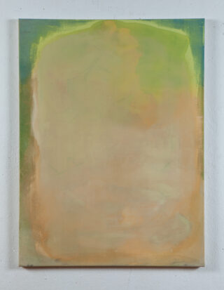 Ein abstraktes Gemälde mit einer sanften Mischung aus Beige-, Grün- und Orangetönen, mit verschwommenen Kanten und ohne deutliche Formen oder Figuren.