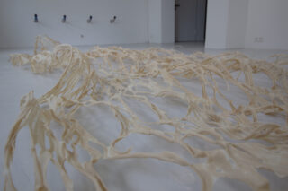 Dünne, beige, netzartige Skulpturenstrukturen aus Harz oder Kunststoff werden auf einem weißen Galerieboden mit schlichten weißen Wänden im Hintergrund ausgestellt.
