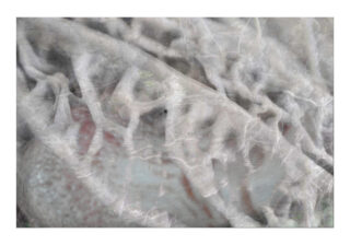 Nahaufnahme von blassen, ineinander verschlungenen Wurzeln oder Fasern auf einem hellen, unscharfen Hintergrund mit schwachen Rot- und Grautönen.