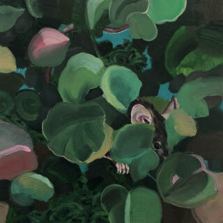 Ein kleines Tier mit grauem Fell und großen Ohren, das teilweise hinter üppigen grünen Blättern verborgen ist, sodass nur sein Gesicht, seine Ohren und seine Pfote sichtbar sind.