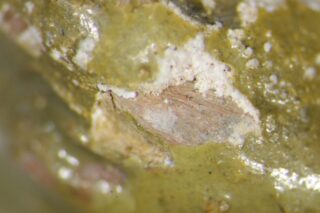 Nahaufnahme einer rauen, grünlichen Felsoberfläche mit Flecken weißer und rosafarbener Mineralablagerungen.