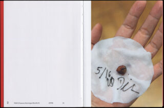 Eine Hand hält einen kleinen braunen Samen auf einem runden Stück weißem Papier, auf dem handschriftlich der Text steht: „5/16 Dill.