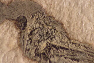 Nahaufnahme einer rauen, schuppigen, grauschwarzen Substanz auf einer strukturierten, hellen Oberfläche, die möglicherweise Korrosion oder Ablagerungen auf einem Material darstellt.