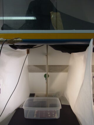 In einer Laborumgebung steht ein Plastikbehälter mit Deckel unter einer Abzugshaube, flankiert von weißen Papierschilden und unter einem Stab positioniert.