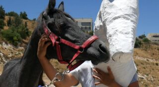 Eine Person mit einer weißen Pferdekopfmaske umarmt an einem sonnigen Tag im Freien ein schwarzes Pferd.