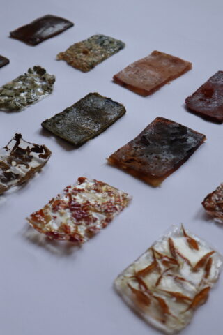 Zwölf rechteckige Proben verschiedener durchscheinender und undurchsichtiger Materialien, in Reihen auf einer glatten Oberfläche angeordnet, jede mit unterschiedlichen Farben und Texturen.