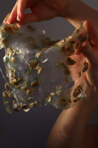 Zwei Hände halten vor einem neutralen Hintergrund ein durchscheinendes, flexibles Blatt hoch, in das getrocknete Blätter oder Blütenblätter eingebettet sind.