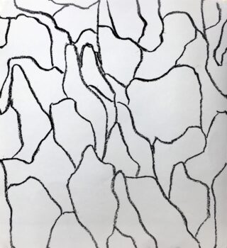 Abstrakte schwarze Wellenlinien bilden unregelmäßige, miteinander verbundene Formen auf einem weißen Hintergrund, die einer rissigen oder fragmentierten Oberfläche ähneln.