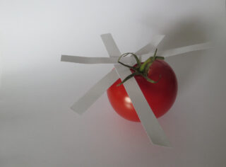 Eine rote Tomate mit vier sternförmig angeordneten weißen Papierstreifen, die oben auf einem schlichten weißen Hintergrund aufgeklebt sind.