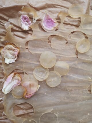 Durchscheinende runde Blätter mit getrockneten rosa und weißen Blütenblättern, angeordnet auf zerknülltem braunem Papier.