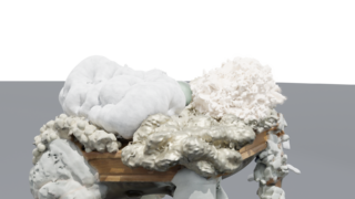 Eine Holzkiste enthält drei große Trauben weißer Pilze vor einem schlichten grau-schwarzen Hintergrund.