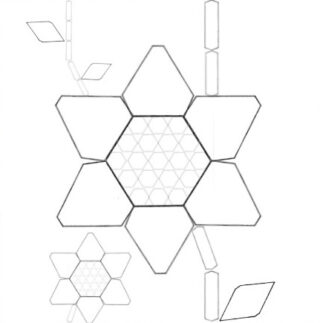 Strichzeichnung einer großen sechseckigen Blume mit polygonalen Blütenblättern und Stiel, umgeben von kleineren, ähnlichen geometrischen Blüten und Blättern.