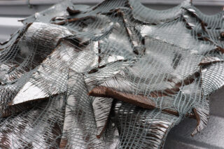 Ein Haufen Haifischflossen, bedeckt mit einem grünen Netz, präsentiert auf einer metallischen Oberfläche.