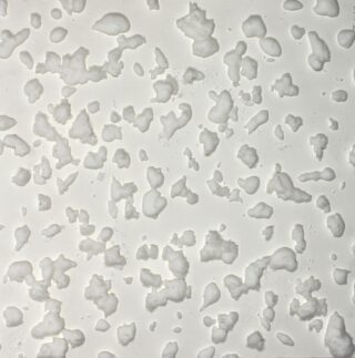 Weiße, unregelmäßig geformte Partikel, die auf einem hellgrauen Hintergrund verstreut sind und einer Nahaufnahme von Salzkristallen oder granuliertem Pulver ähneln.