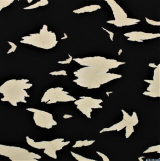 Unregelmäßige, beige Papierfragmente, verstreut auf einem einfarbig schwarzen Hintergrund.