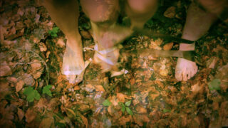 Ein Paar nackte Füße stehen auf einem mit trockenen Blättern bedeckten Waldboden; das Bild hat einen unscharfen Doppelbelichtungseffekt.